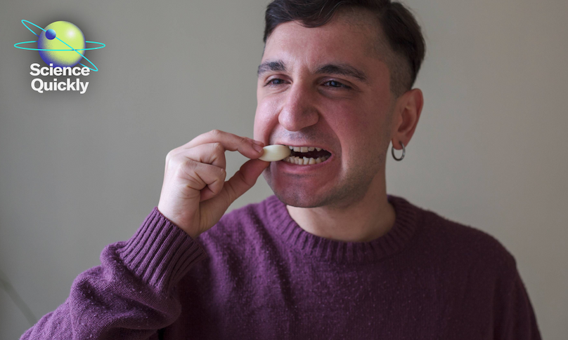 Person biting on garlic clove