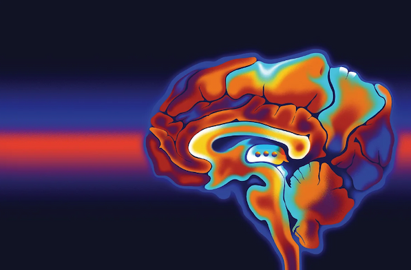 A vibrant illustration showing different brain regions in glowing colors