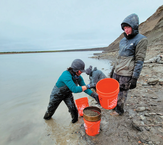 Researchers excavate a fossil site along the Colville River in northern Alaska.