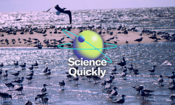 Listen to Science Quickly
