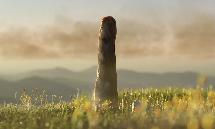 Reconstruction of Prototaxites taiti, which could reach the height of a telephone pole, growing in the 407-million-year-old Rhynie chert ecosystem