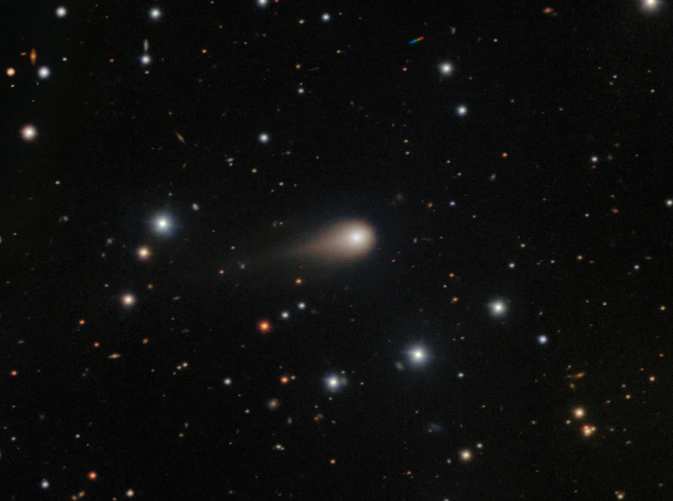 A fuzzy comet, 3I/ATLAS, with a fat tail extended behind it seen against a background of stars.