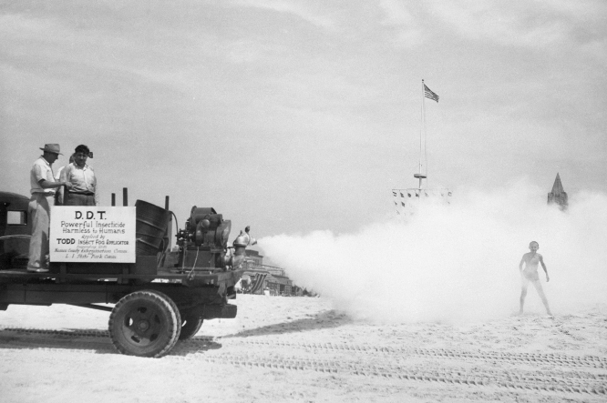 In a black-and-white photo a 1940s-era pickup truck on the left sprays out a white cloud onto a boy wearing swim trunks on a sandy beach. Three men stand on the struck and a sign reads in part, "D.D.T. Powerful Insecticide Harmless to Humans"