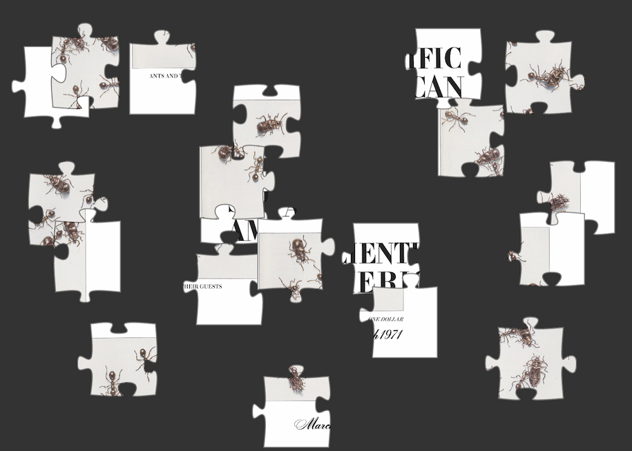 White, black and beige puzzle pieces arrayed on a black background