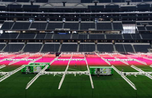 Pink grow lights illuminate half of a grass field inside a stadium