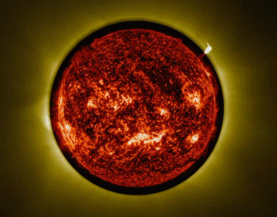 A GIF of the red sun, with multiple ejections of plasma