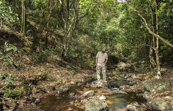 A man in tan clothes stands in a forest stream with his hands in his pockets, looking up at the canopy.