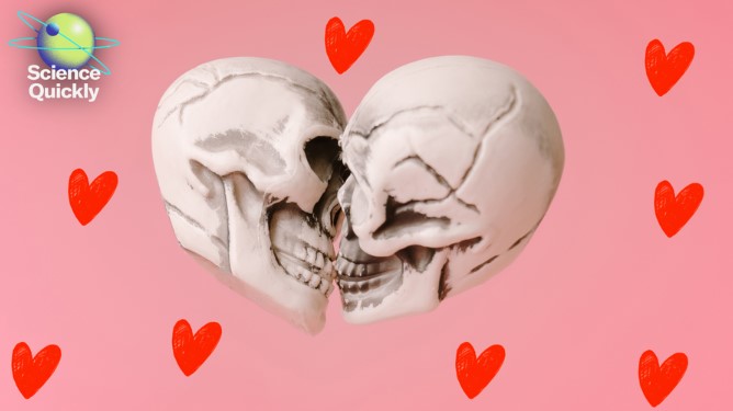 Two skeletons kissing