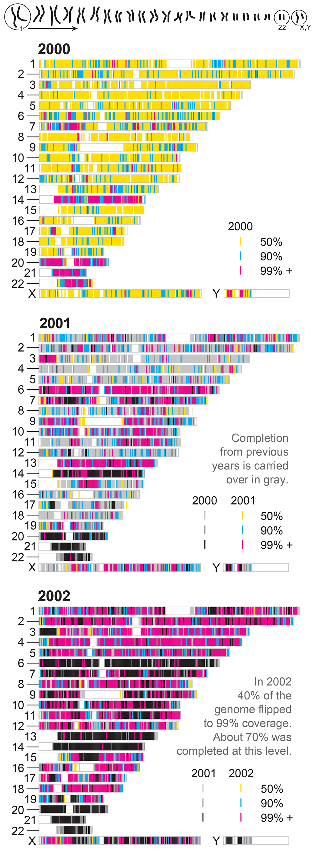 Series of charts shows human genome sequence progress from 2000 through 2002.