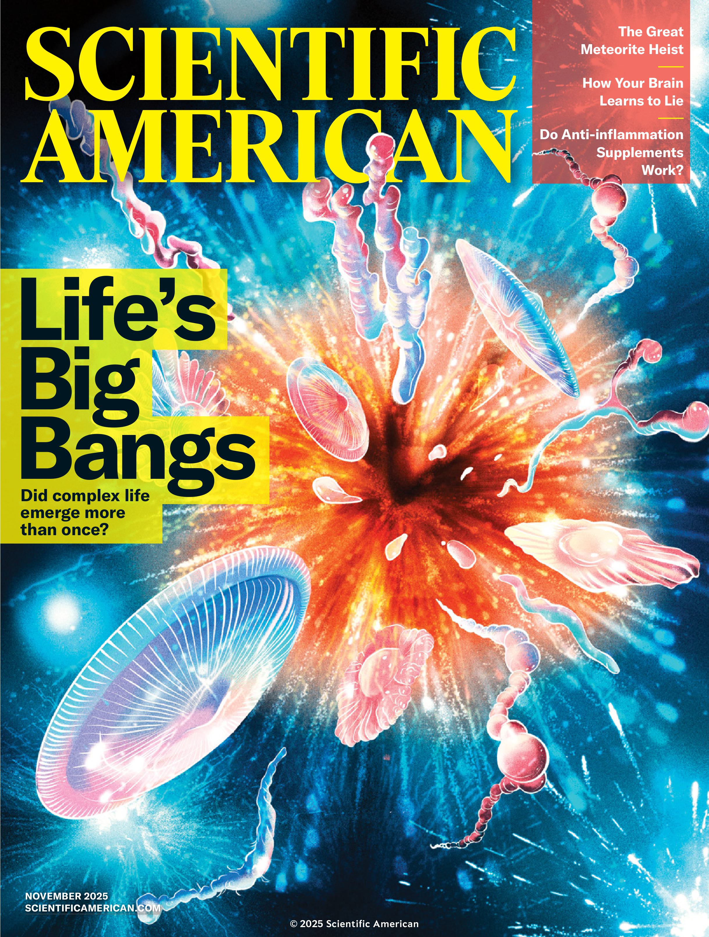 November 2025 Issue