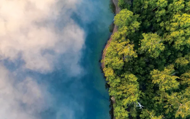 photo of fog gathering above the water near a green, tree-covered coastline