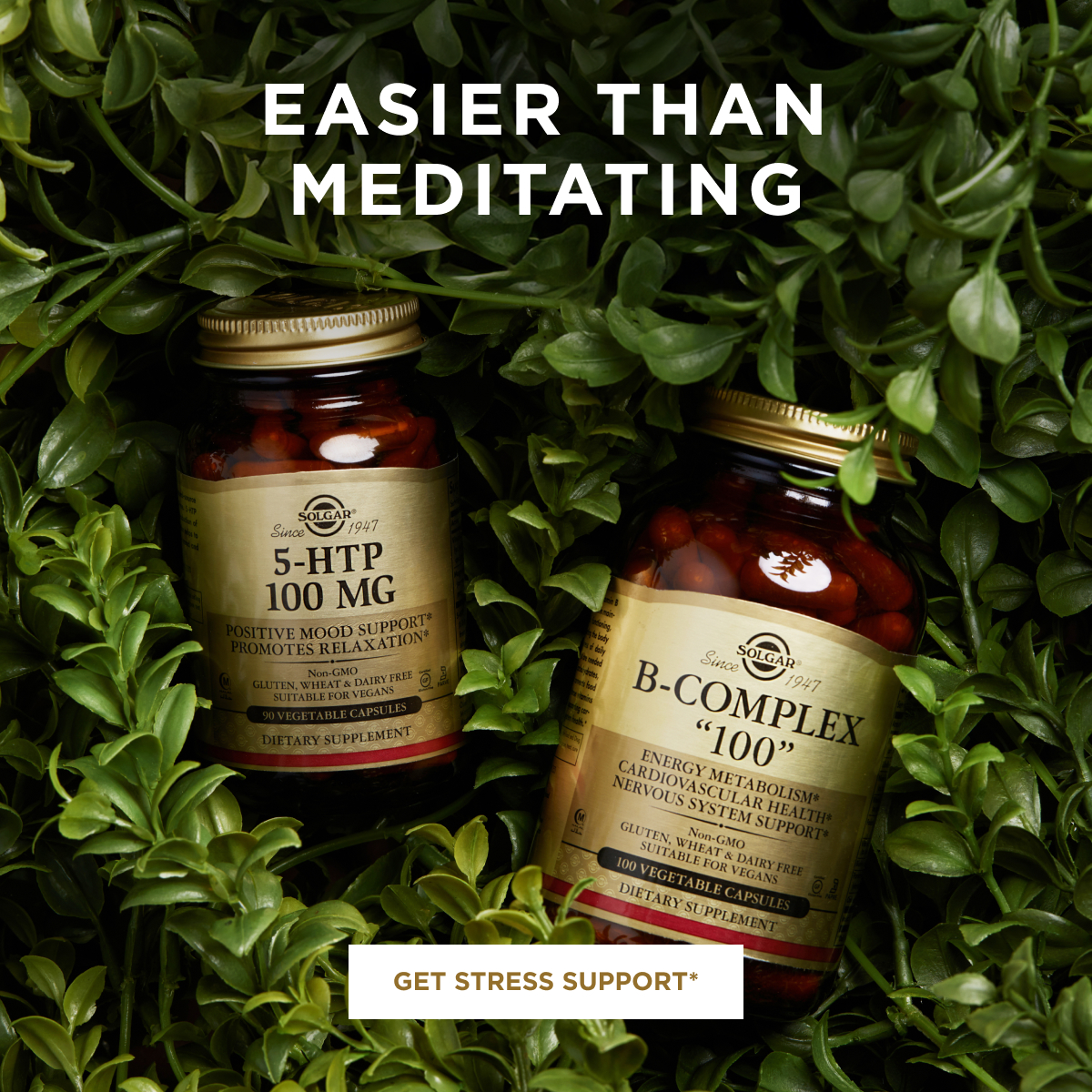 Get Stress Support 