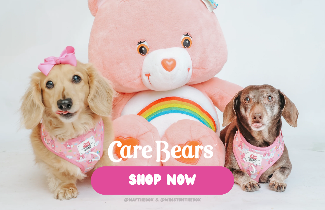 an image of two dogs and a large teddy bear with a pink bow