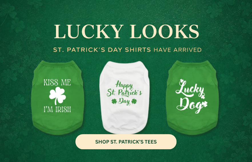 an image of a green and white dog shirt with shamrocks
