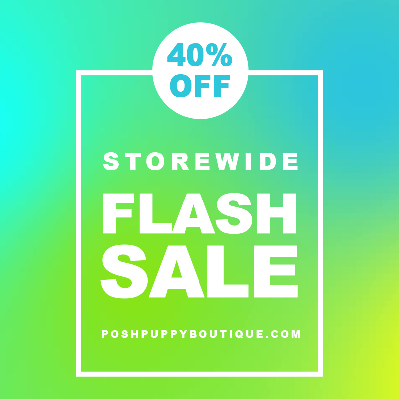 flash friday sale