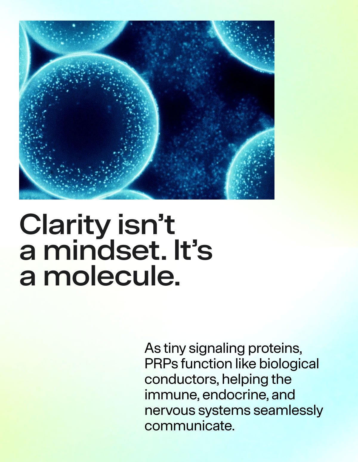 Clarity isn't a mindset. It's a molecule. As tiny signaling proteins, PRPs function like biological conductors, helping the immune, endocrine, and nervous systems seamlessly communicate.