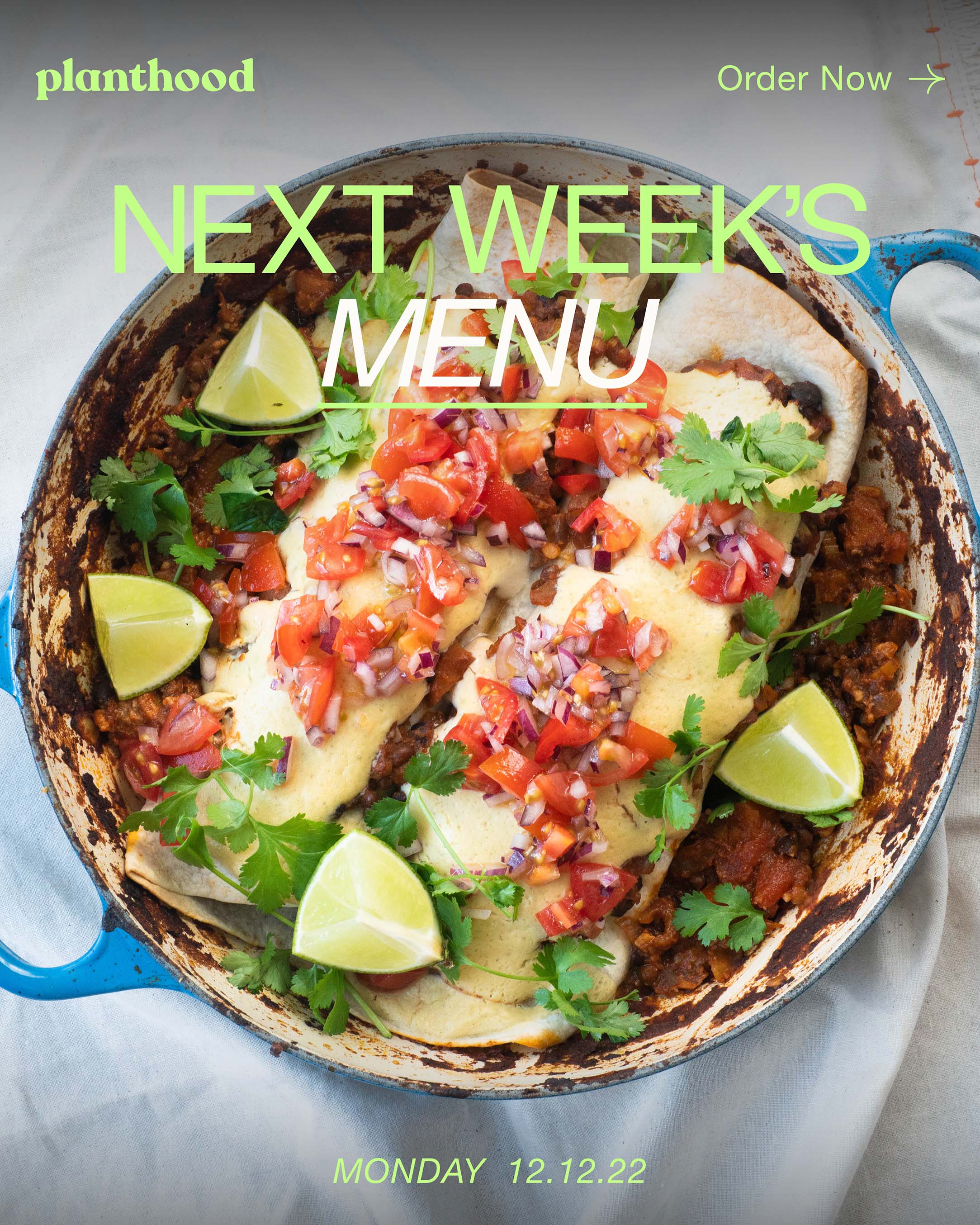 NEW Enchiladas + Peanut Butter Curry 😍 Planthood