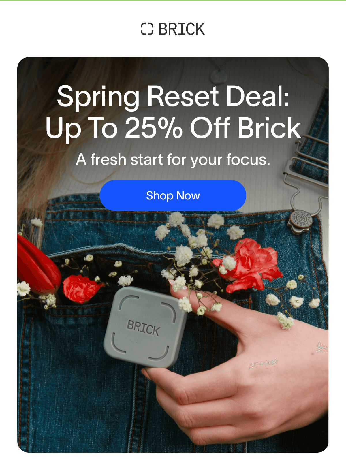 Spring Reset Deal: Up To 25% Off Brick