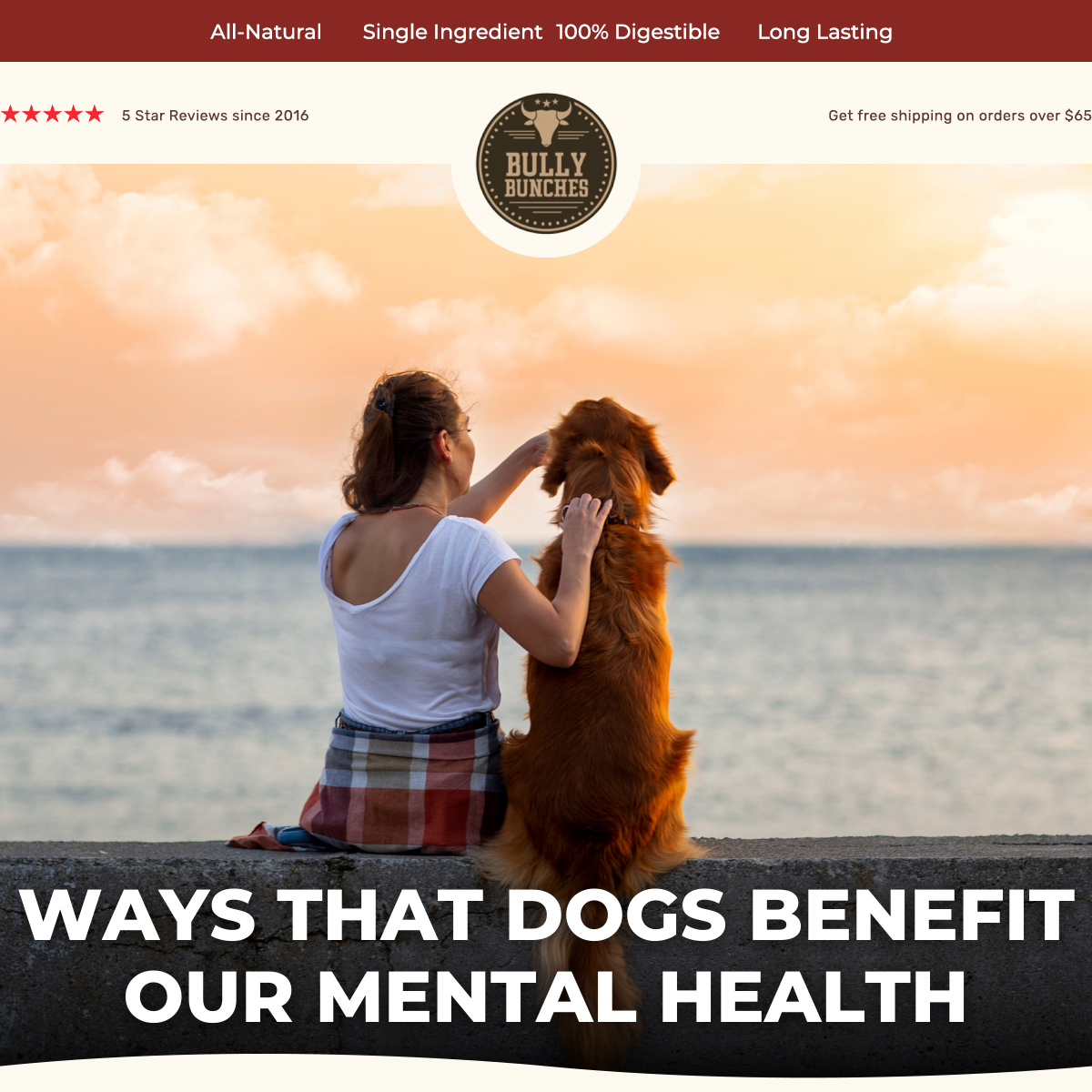 Curious how dogs affect your mental health? Bully Bunches