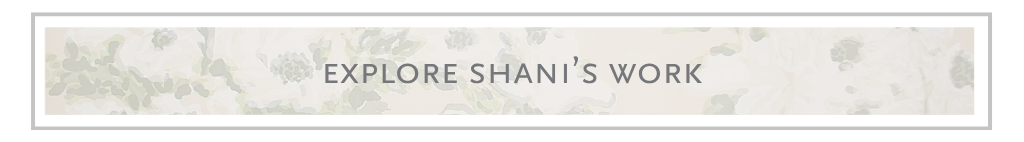 Shani Core interiors