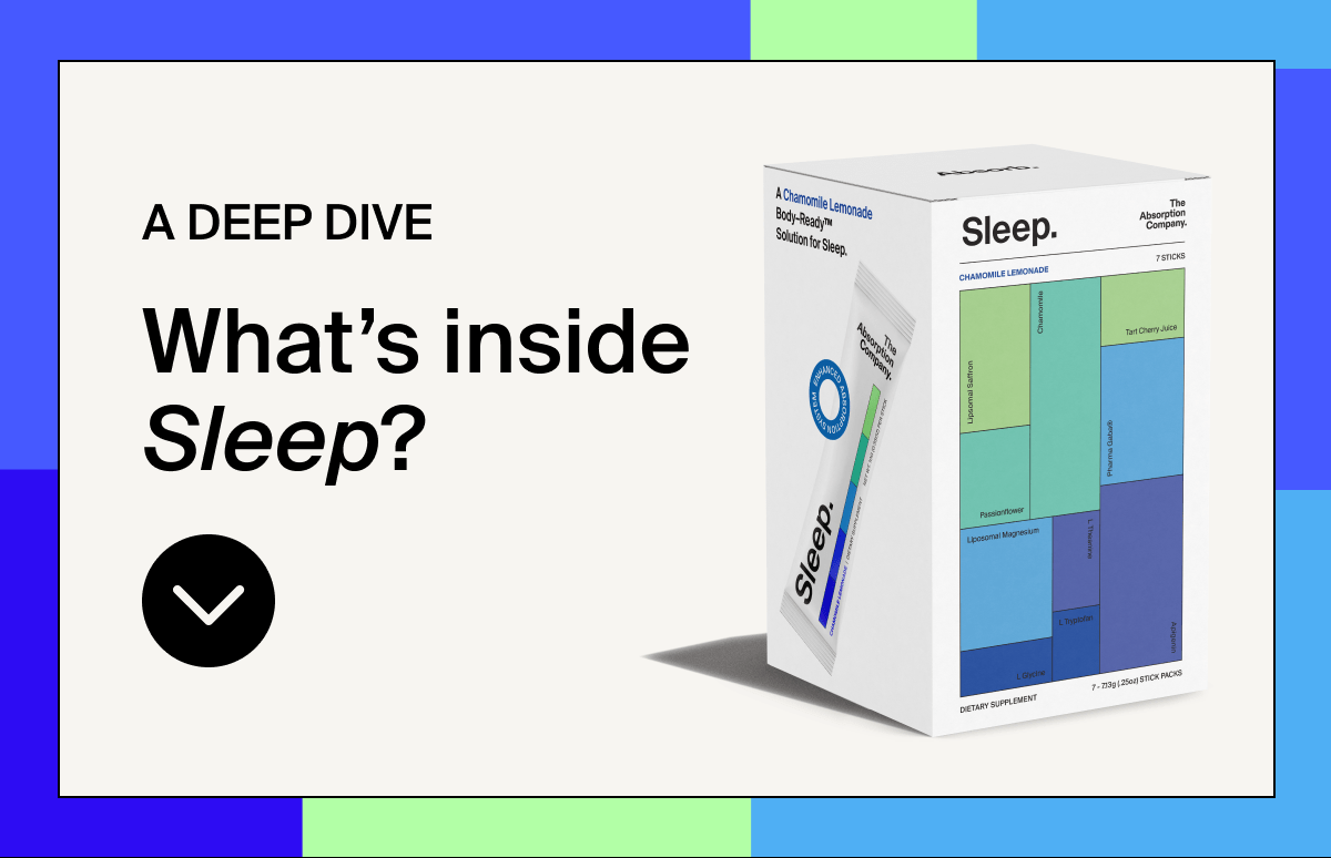 A deep dive what's inside sleep?