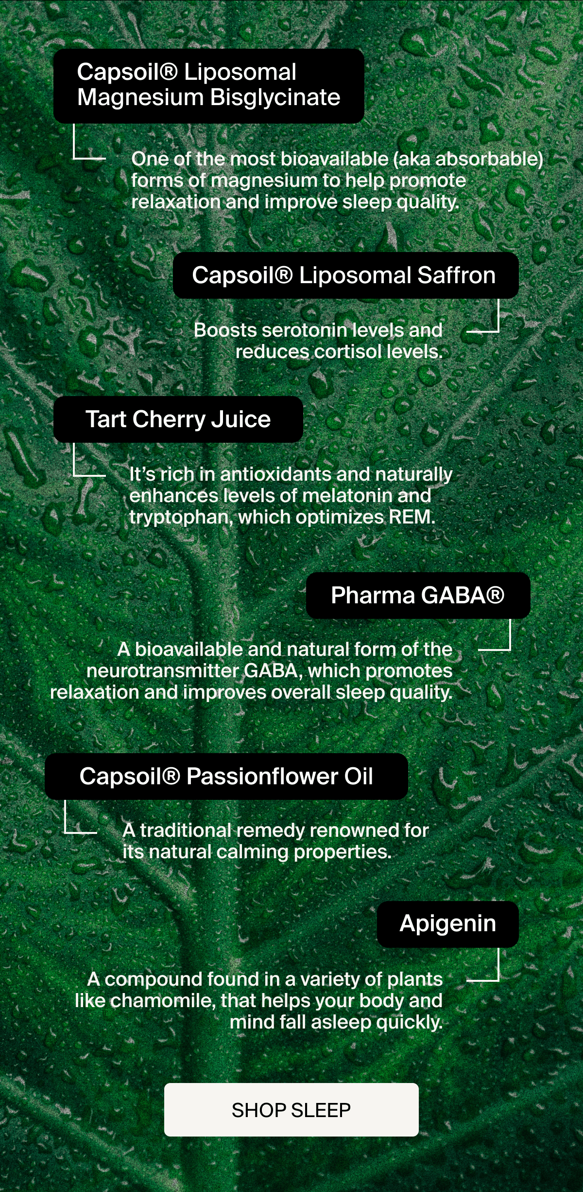 Capsoil® Liposomal Magnesium Bisglycinate One of the most bioavailable (aka absorbable) forms of magnesium to help promote relaxation and improve sleep quality. | Capsoil® Liposomal Saffron Boosts serotonin levels and reduces cortisol levels. | Tart Cherry Juice It’s rich in antioxidants and naturally enhances levels of melatonin and tryptophan, which optimizes REM. | Pharma GABA® A bioavailable and natural form of the neurotransmitter GABA, which promotes relaxation and improves overall sleep quality. | Capsoil Liposomal Passionflower® A traditional remedy renowned for its natural calming properties. | Apigenin A compound found in a variety of plants like chamomile, that helps your body and mind fall asleep quickly. | Shop Sleep