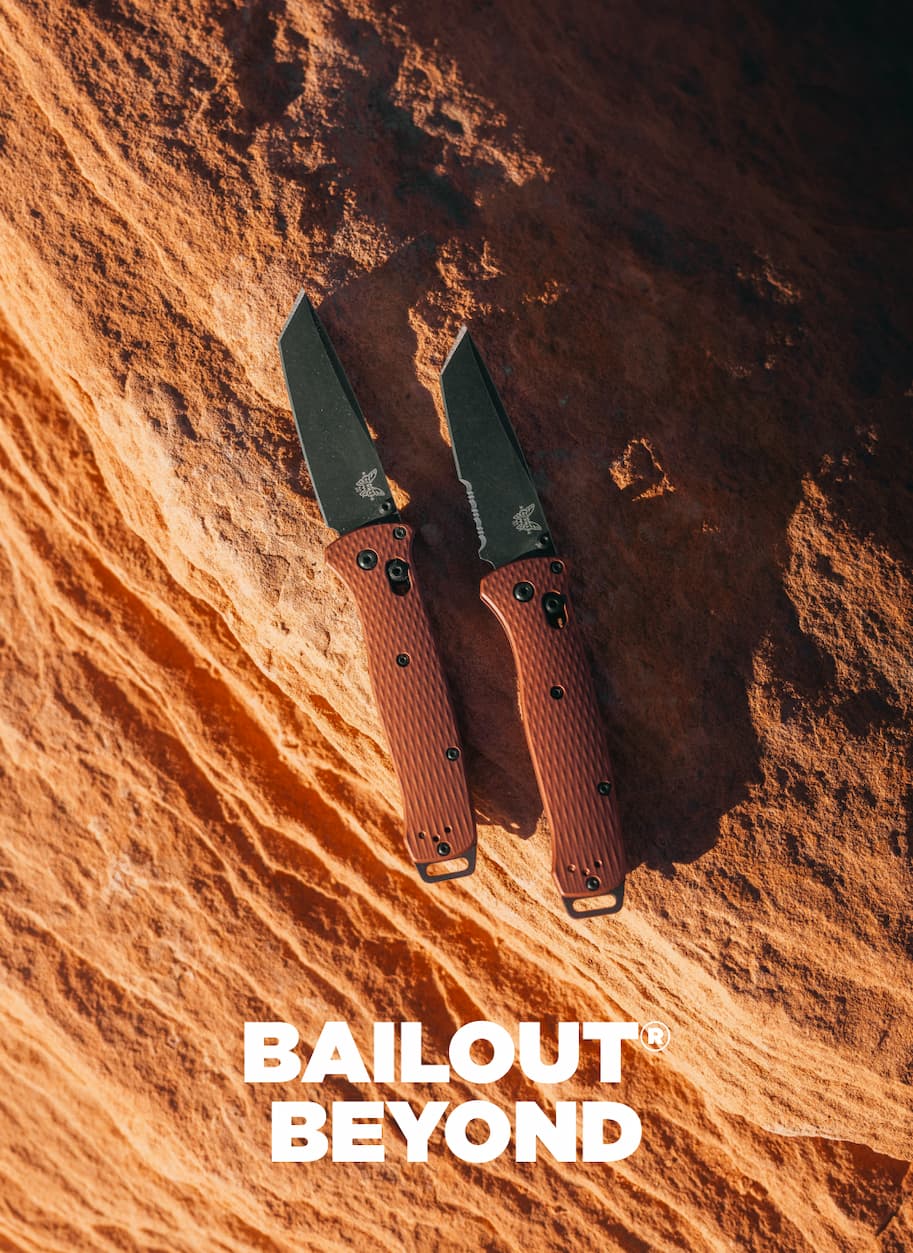 BAILOUT BEYOND