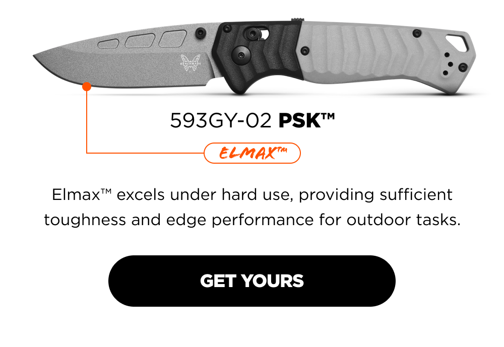 Elmax: 593GY-02 PSK