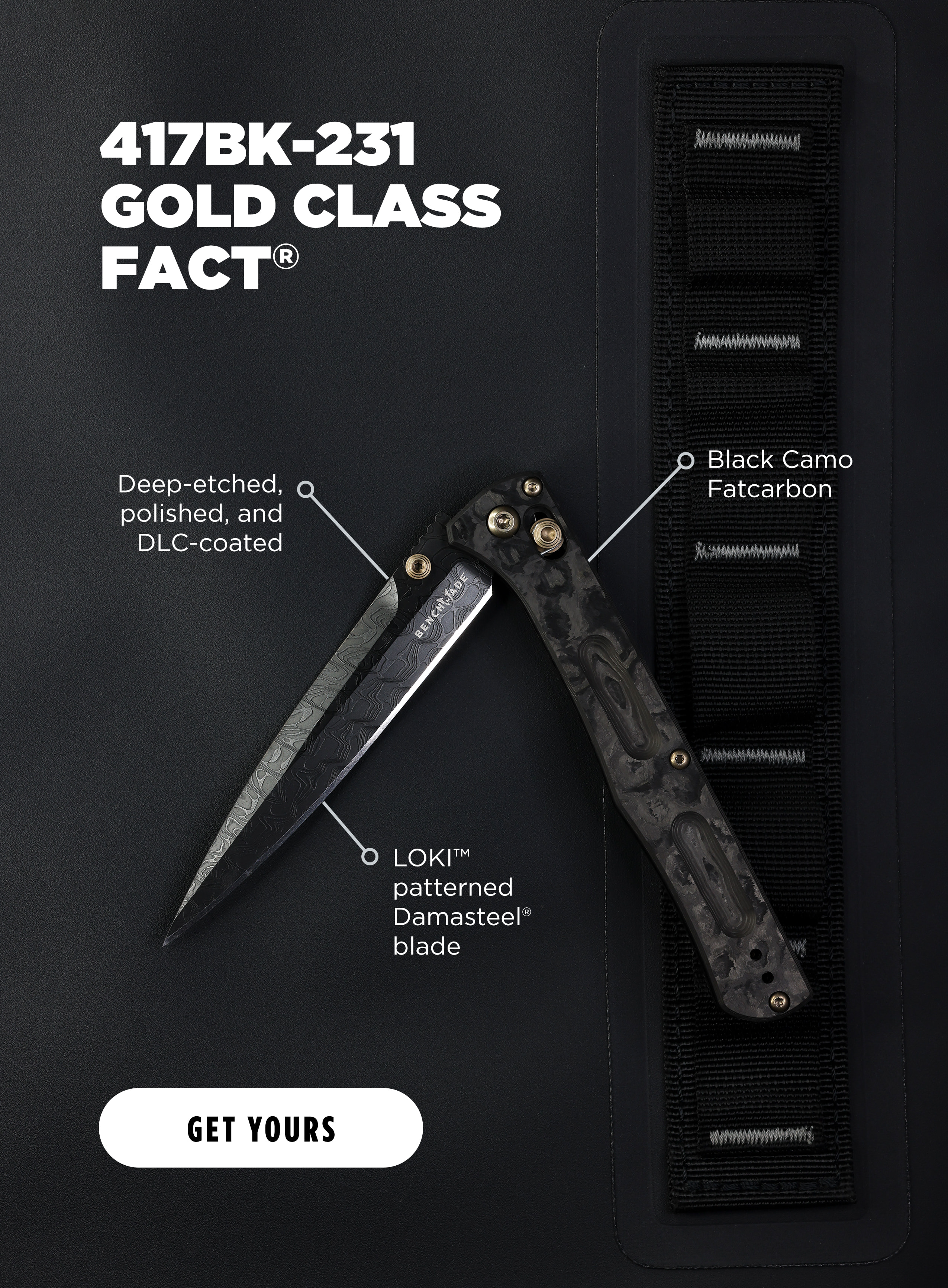 417BK-231 GOLD CLASS FACT [ GET YOURS ]