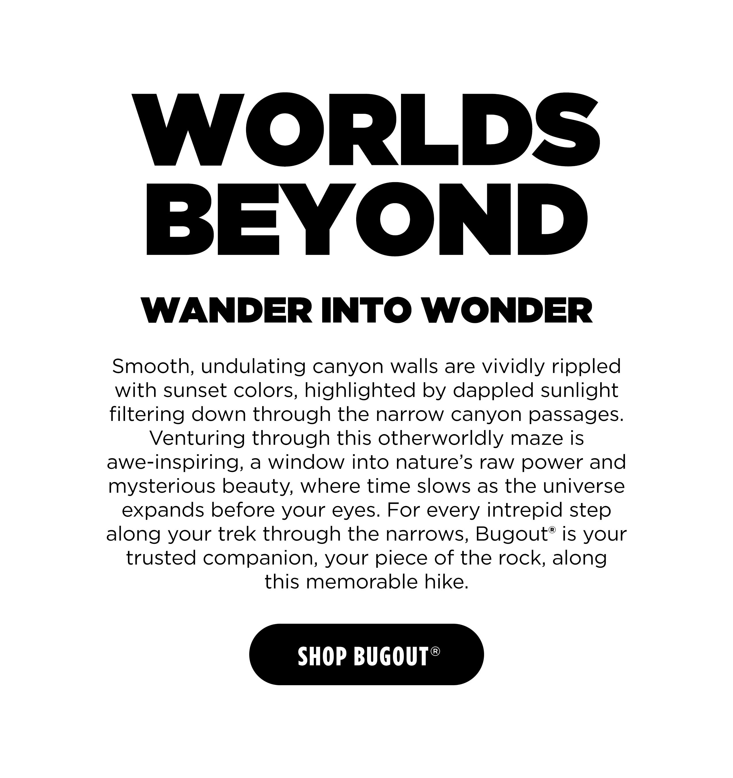 WORLD BEYOND WANDER INTO WONDER [ SHOP BUGOUT ]