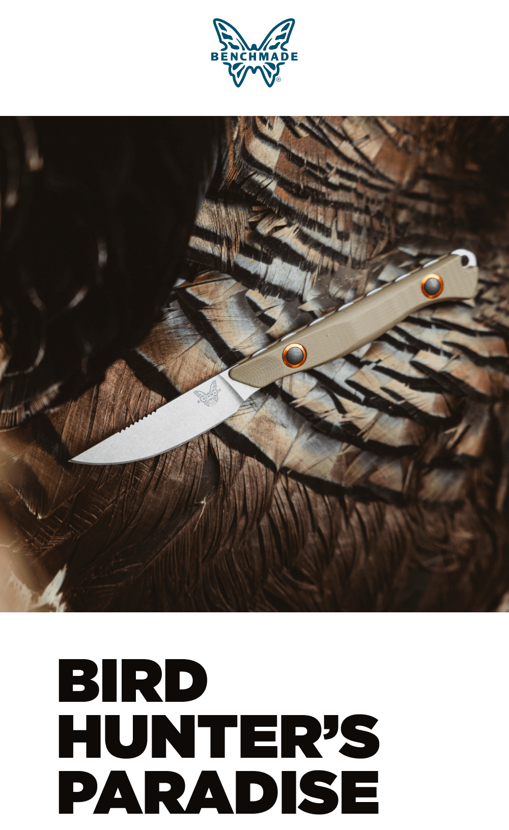 BIRD HUNTER'S PARADISE