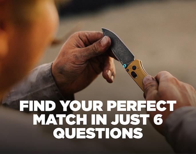 Find Your Perfect Match in Just 6 Questions