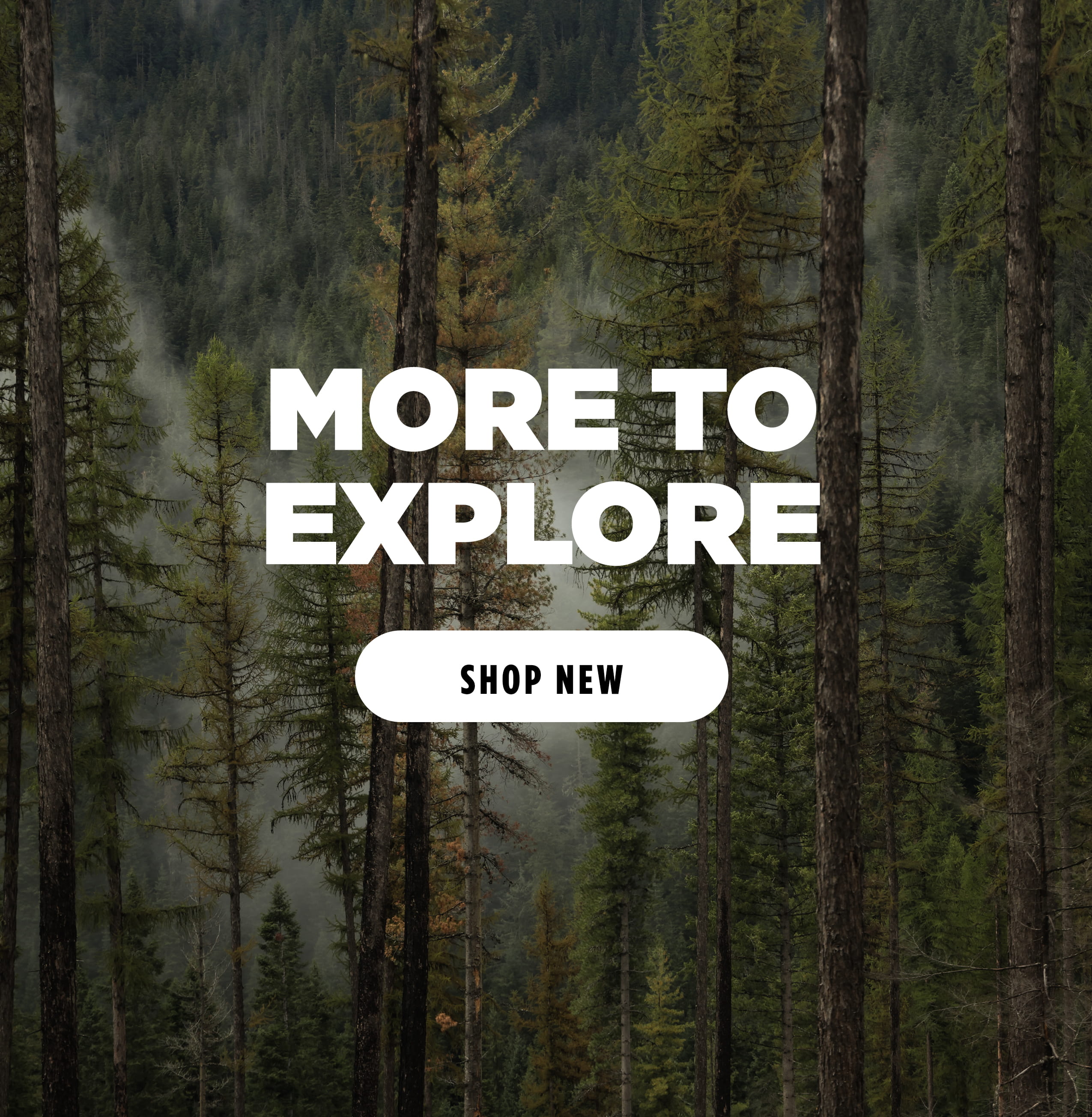 MORE TO EXPLORE [ SHOP NEW ]