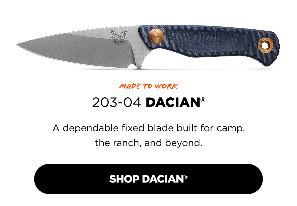 203-04 Dacian