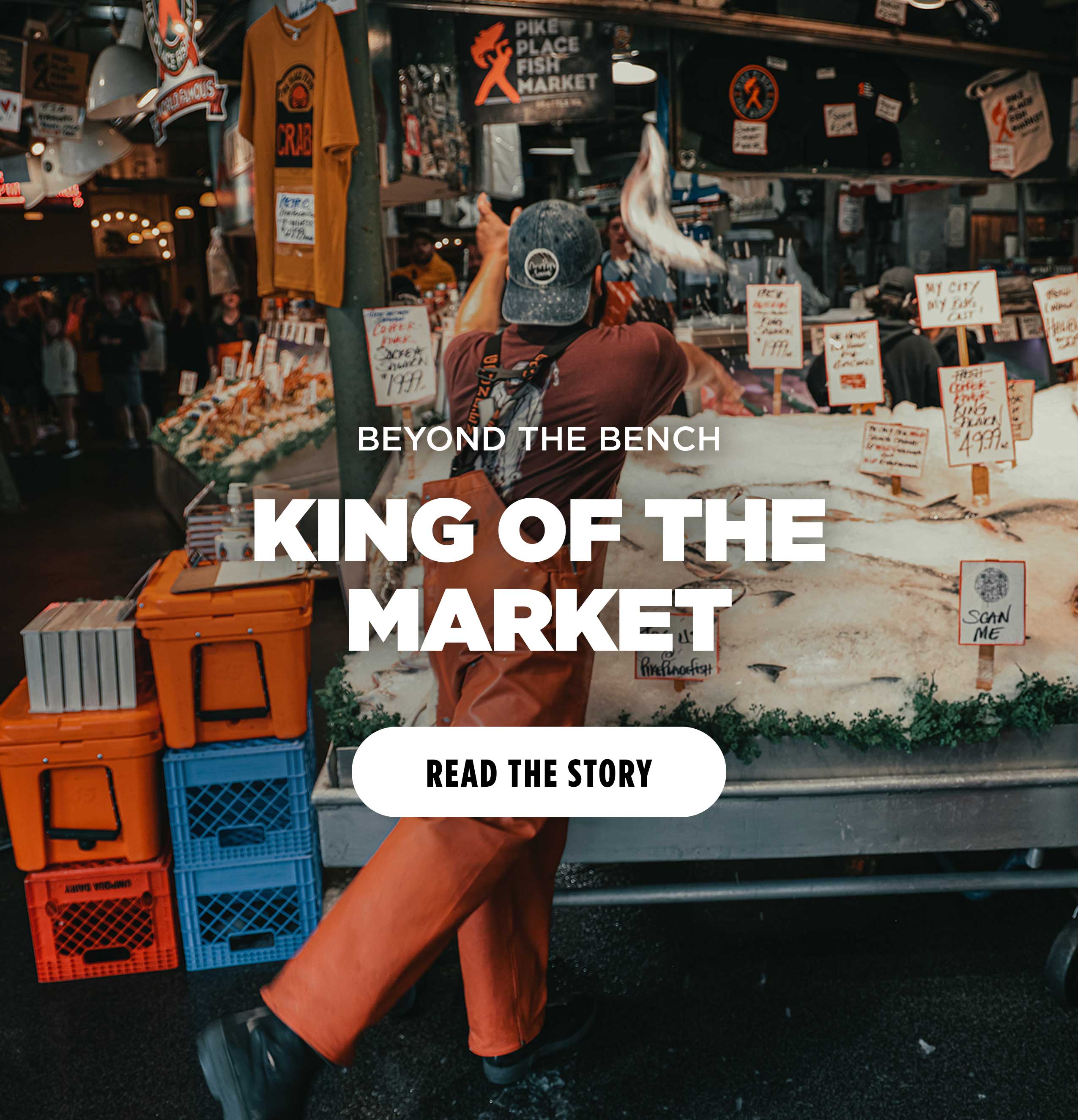 BEYOND THE BENCH KING OF THE MARKET [ READ THE STORY ]