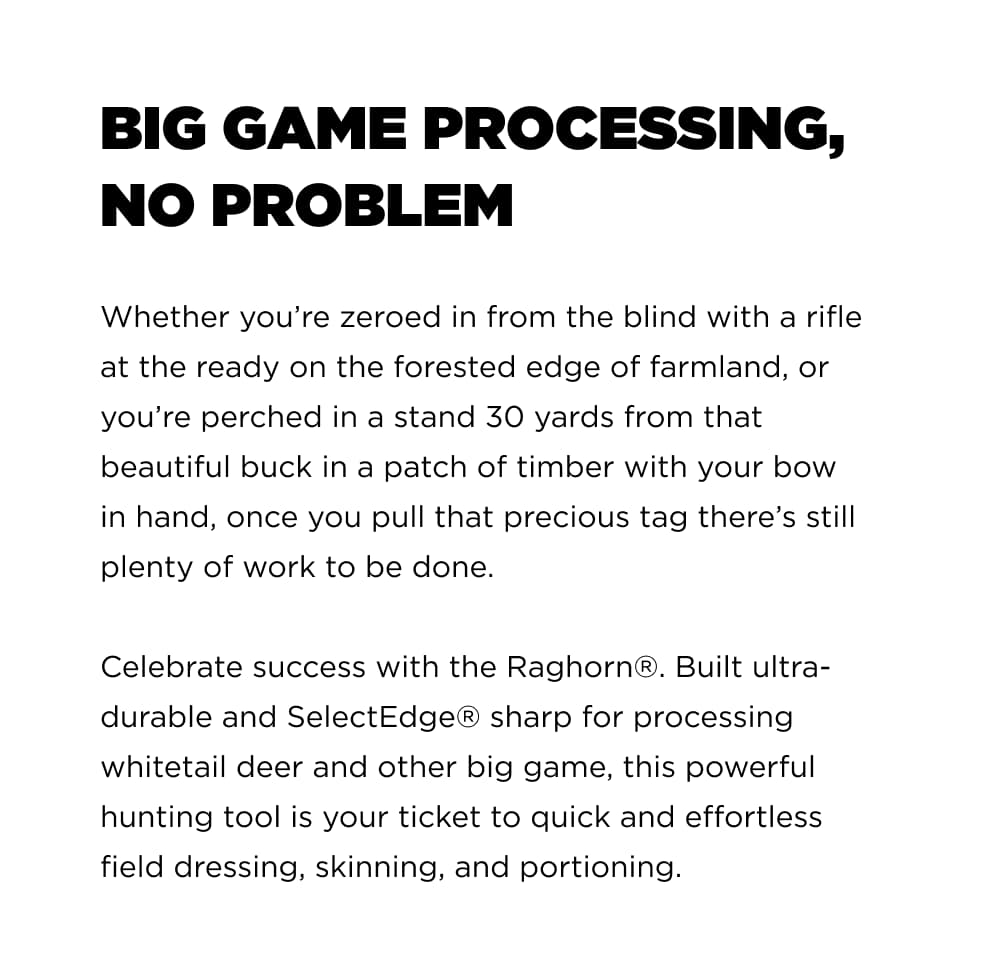 BIG GAME PROCESSING NO PROBLEM   Whether you're zeroed in from the blind with a rifle at the ready on the forested edge of farmland, or you're perched in a stand 30 yards from that beautiful buck in a patch of timber with your bow in hand, once you pull that precious tag there&rsquo;s still plenty of work to be done. Celebrate success with the Raghorn&reg;. Built ultra- durable and SelectEdge&reg; sharp for processing whitetail deer and other big game, this powerful hunting tool is your ticket to quick and effortless field dressing, skinning, and portioning.
