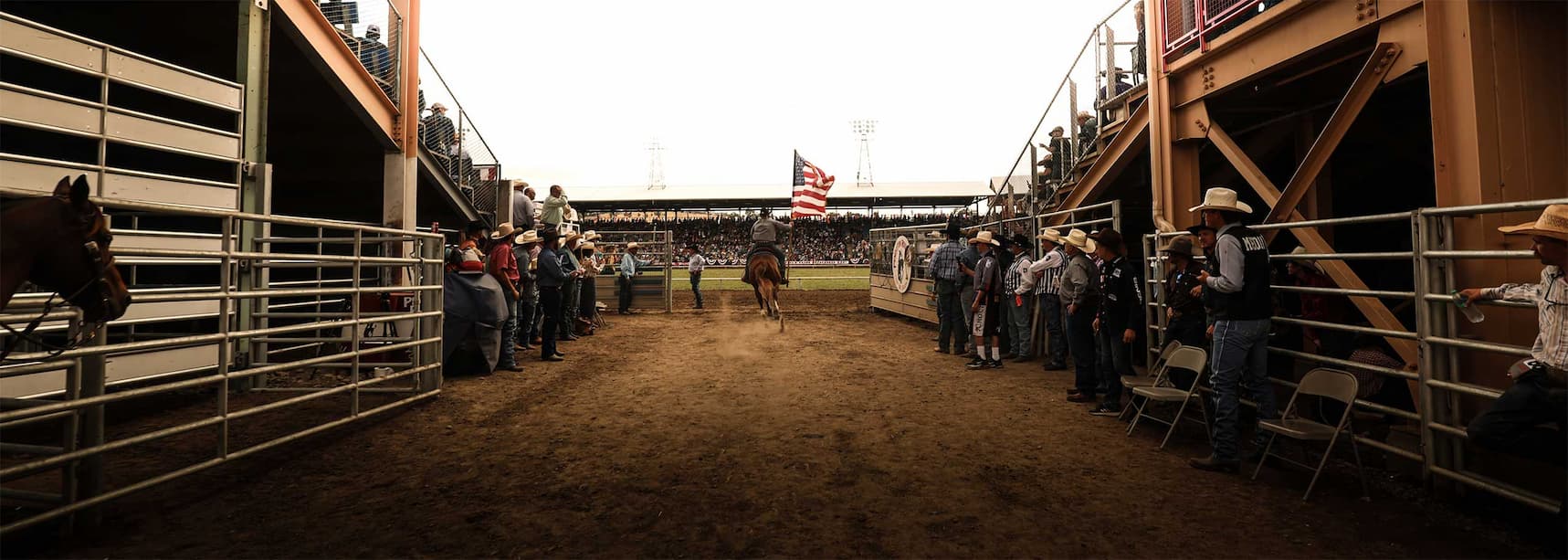 SADDLE UP FOR SUMMER