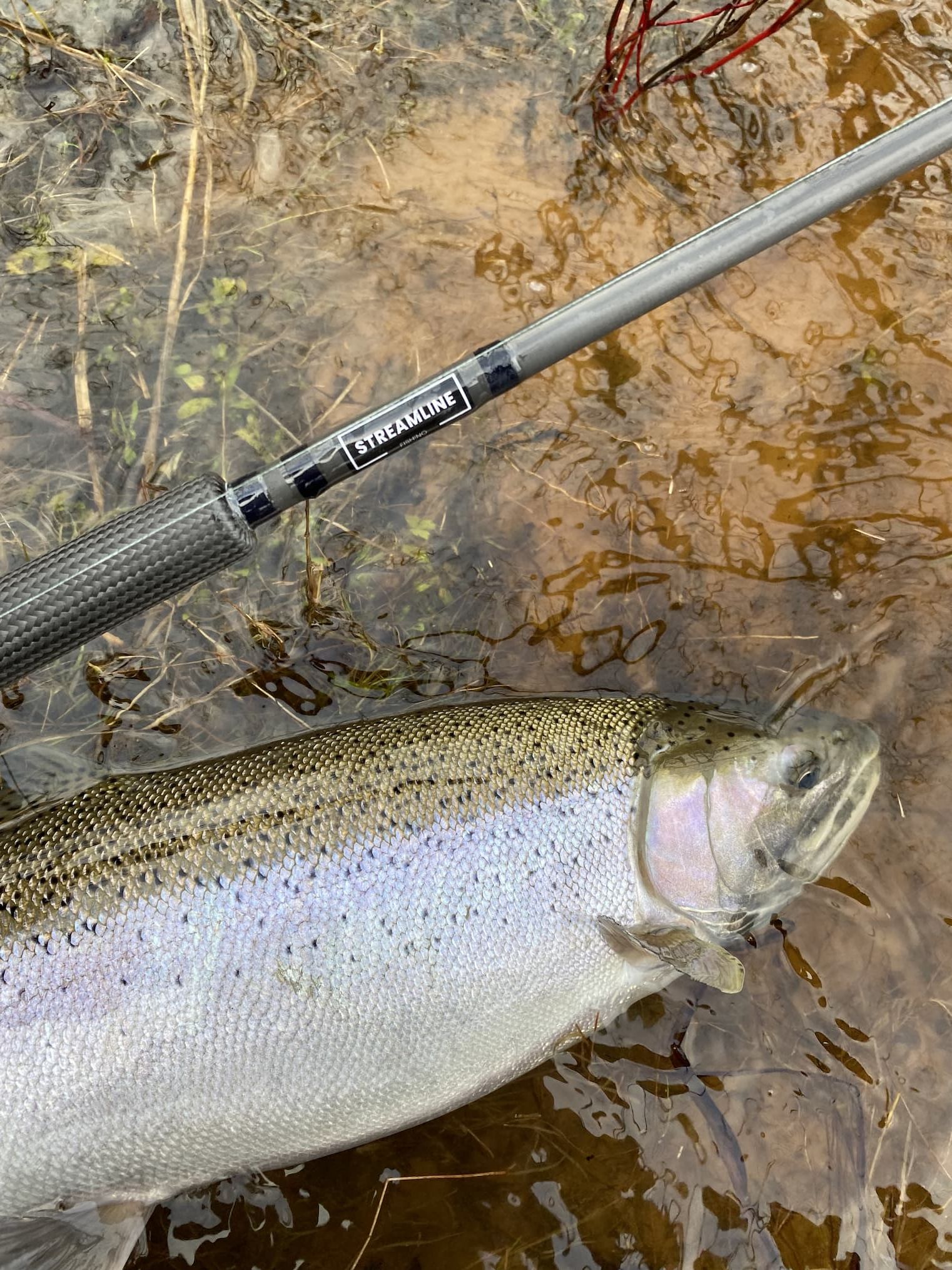 baitcaster float rod Blood Run Tackle Ironhead With its 6 Baitcaster Best Steelhead Float Rod
