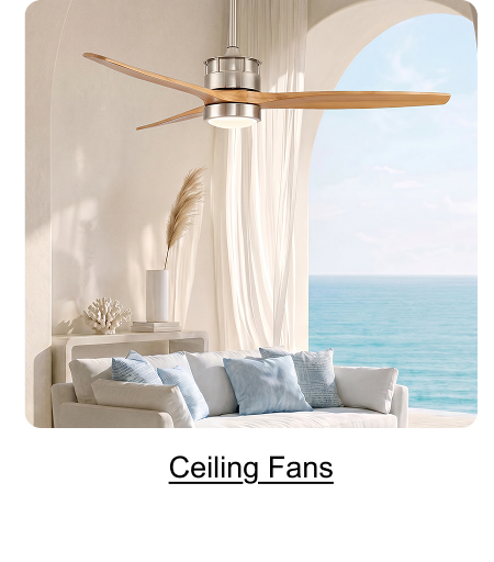 Ceiling Fans