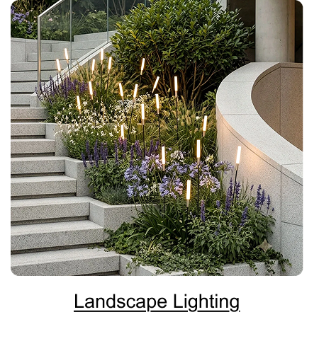 Landscape Lighting