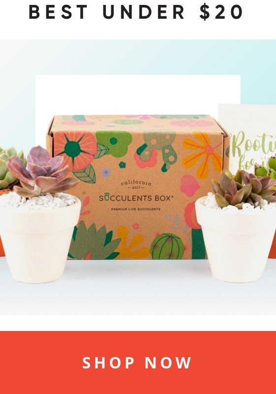 Best Boxes Under $20