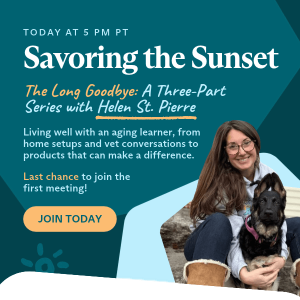 Helen St. Pierre - "Savoring the Sunset"