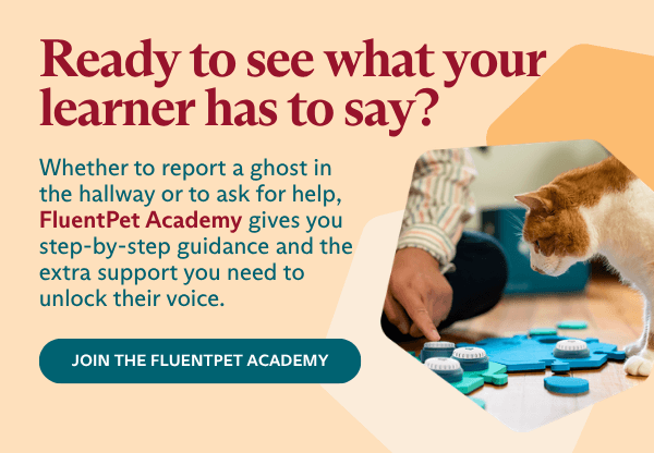 A cat interacts with buttons, with text about FluentPet Academy.