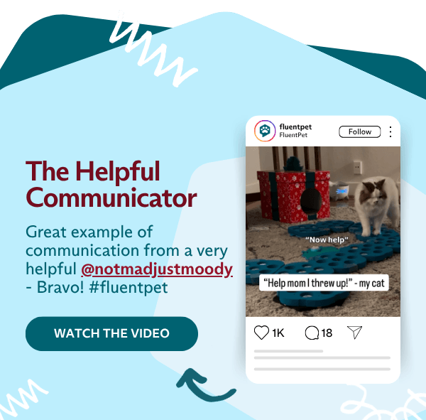 The Helpful Communicator&nbsp;