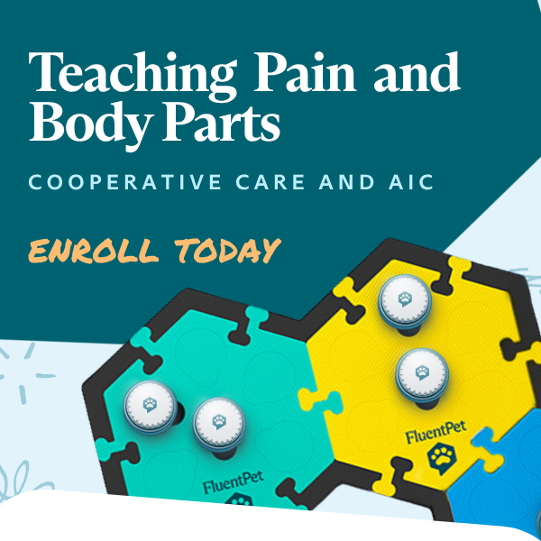 Cooperative Care Call 2