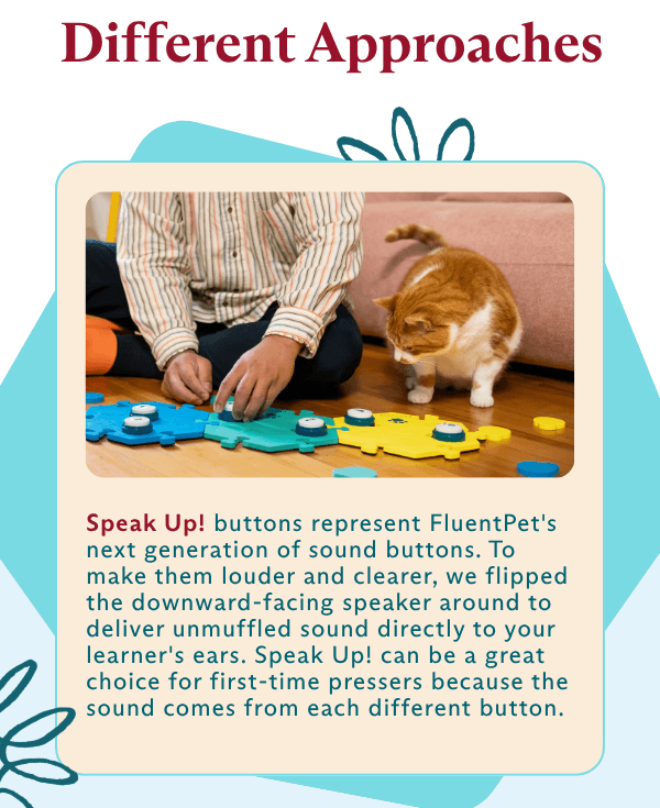 Connect vs. Speak Up!