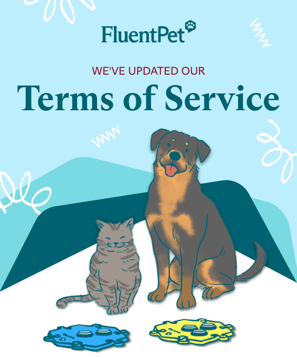 Updated Terms of Service