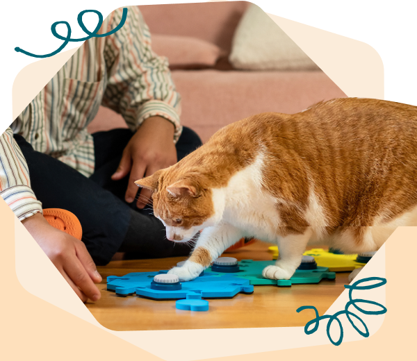 fluent.pet