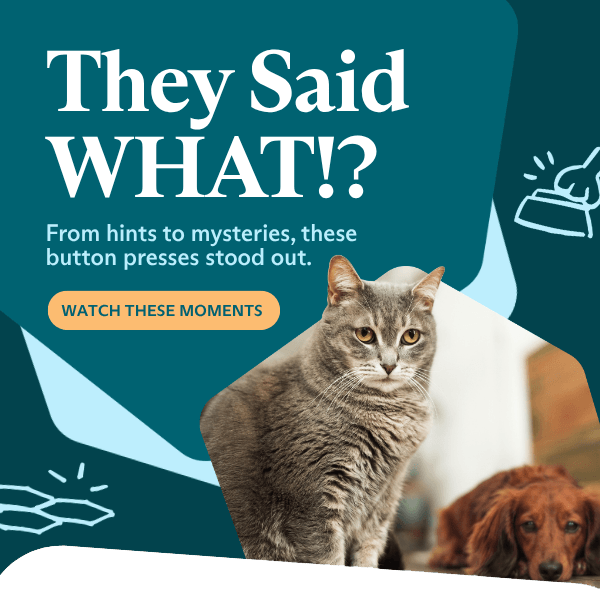 They Said WHAT?!