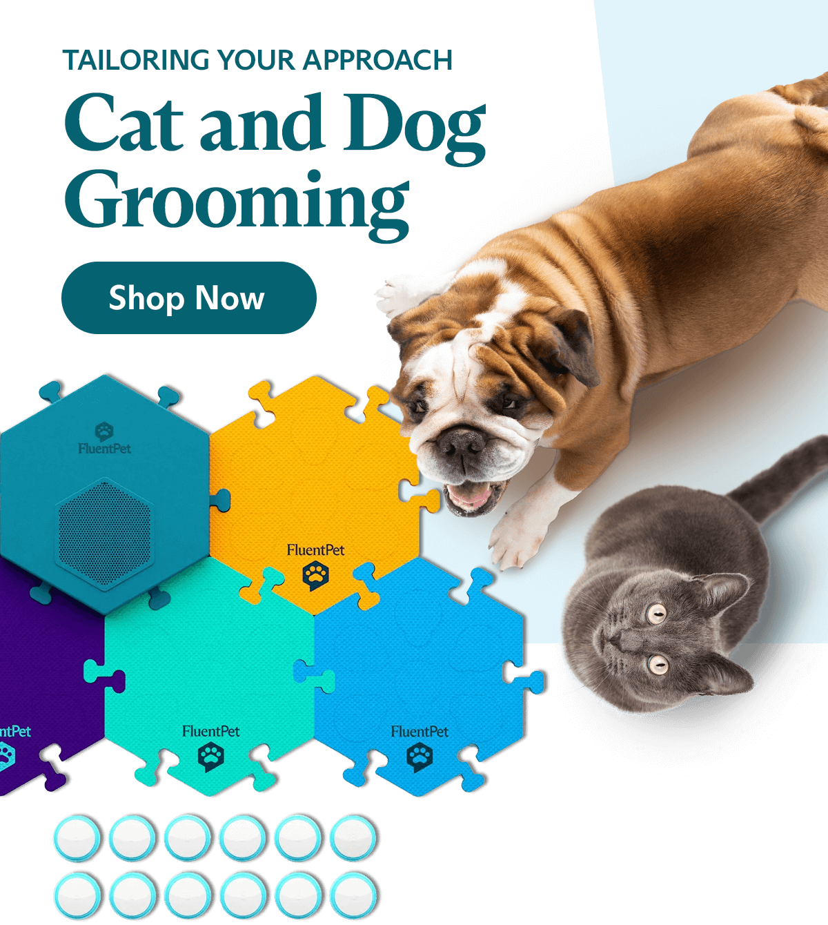 Tailoring Your Grooming Routine Fluent Pet
